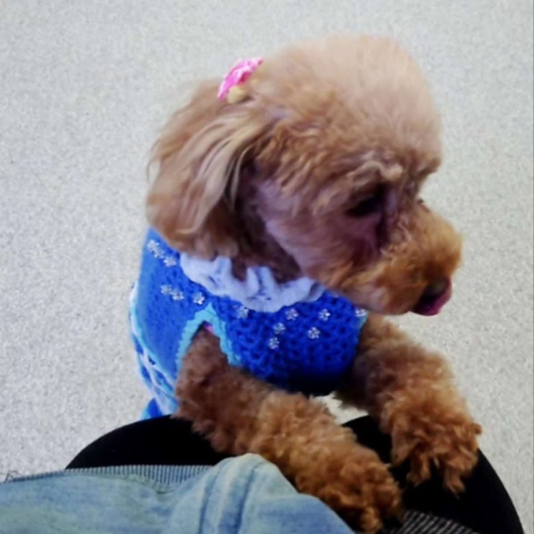 Compress 20231211 132019 9815