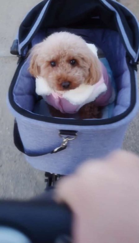 Compress 20240217 041338 8374