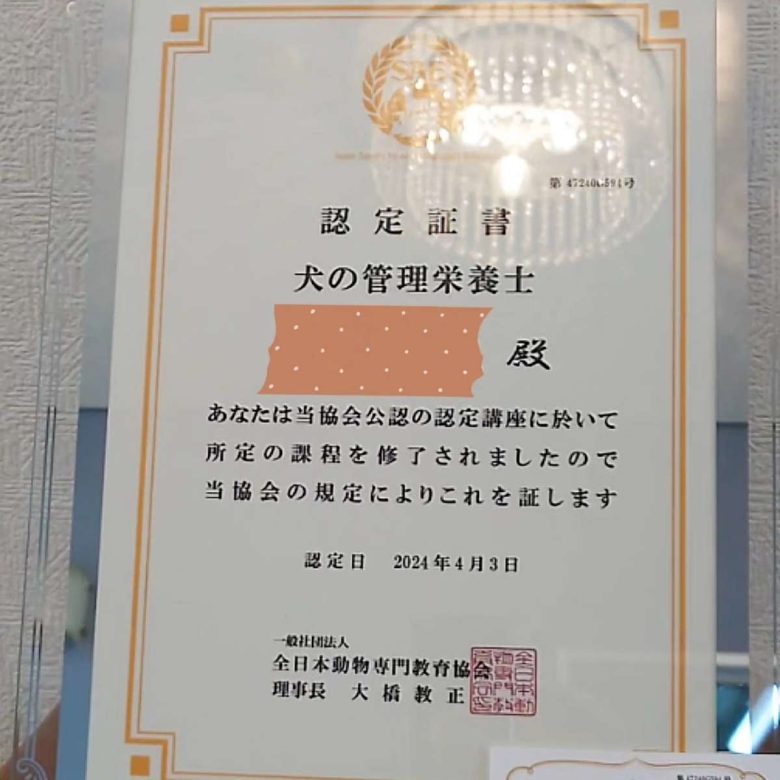 Compress 20240410 134539 9440