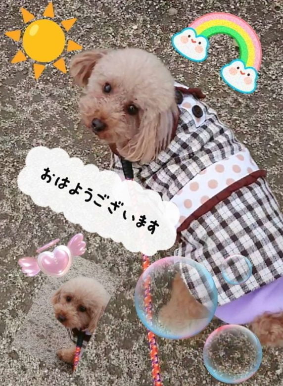 Compress 20240312 010035 5251