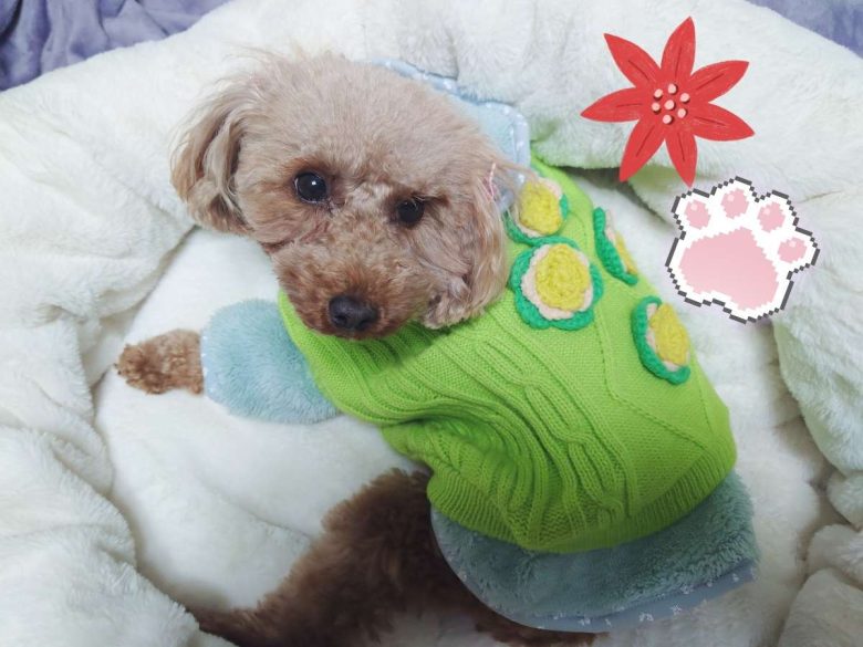 Compress 20240112 040712 2617