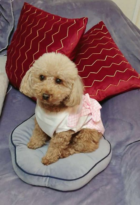 Compress 20240316 012159 9813 2