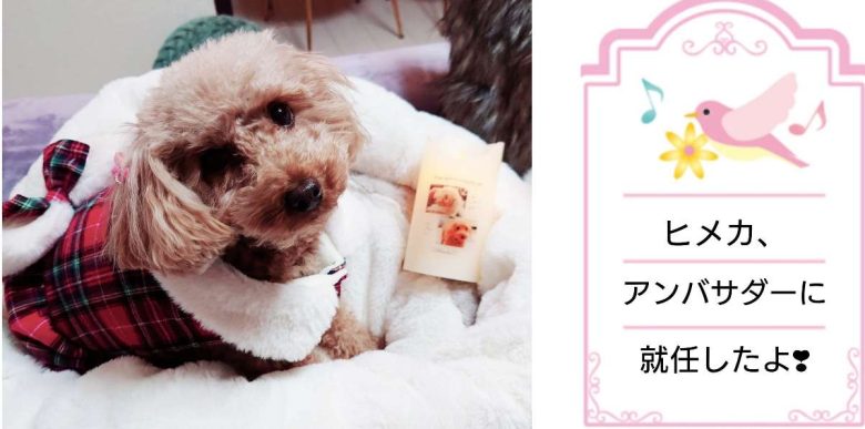 Compress 20240118 085300 0260