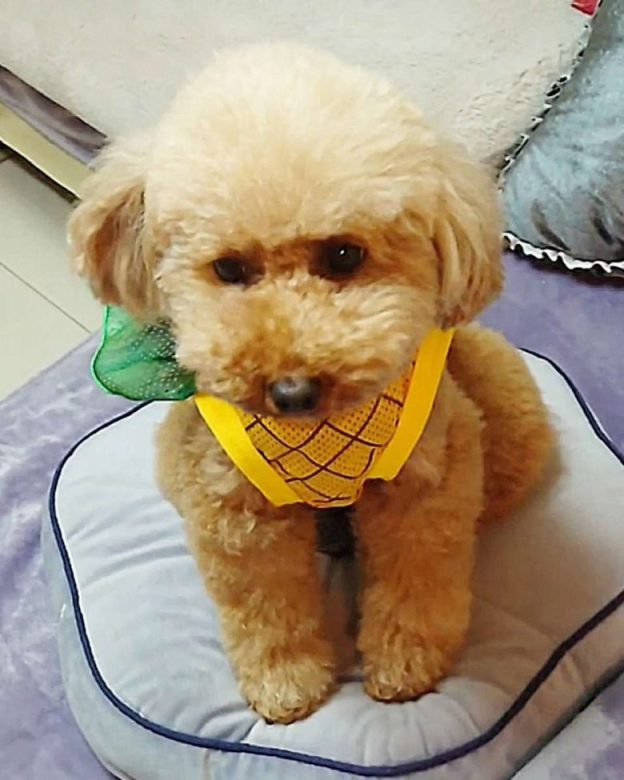 Compress 20240514 223723 3182