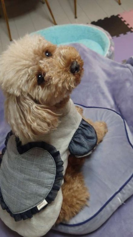 Compress 20240508 000337 7091