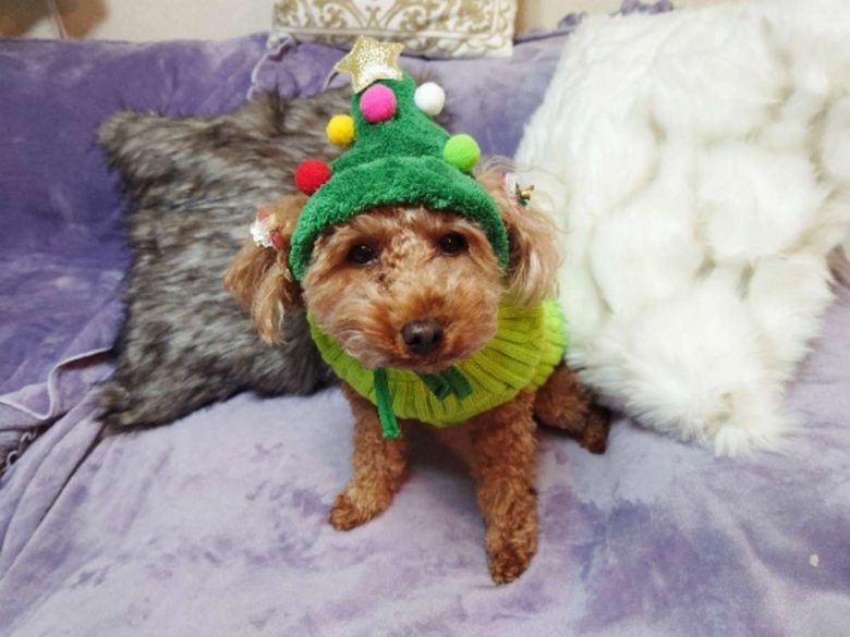 Compress 20231224 014639 9230