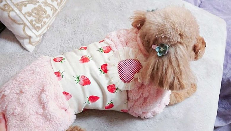 Compress 20240201 125002 2314