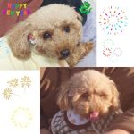 Compress 20240101 004757 7310