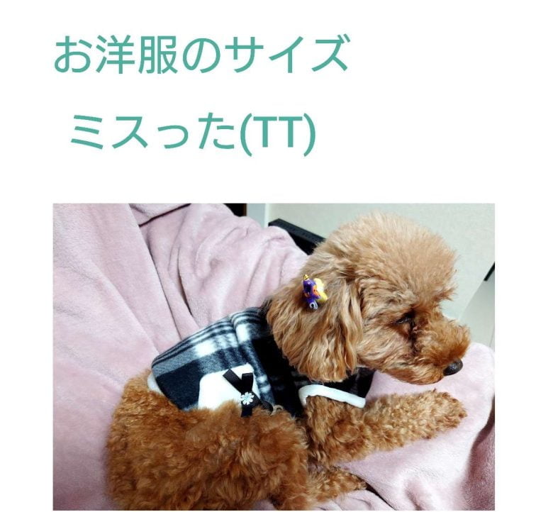 Compress 20231211 091811 1492