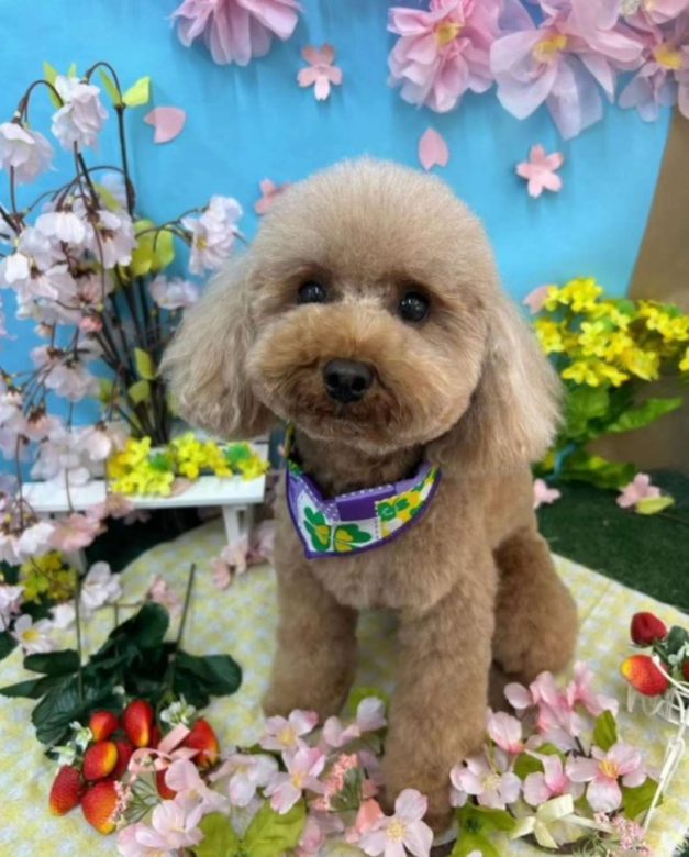 Compress 20240417 012258 8058