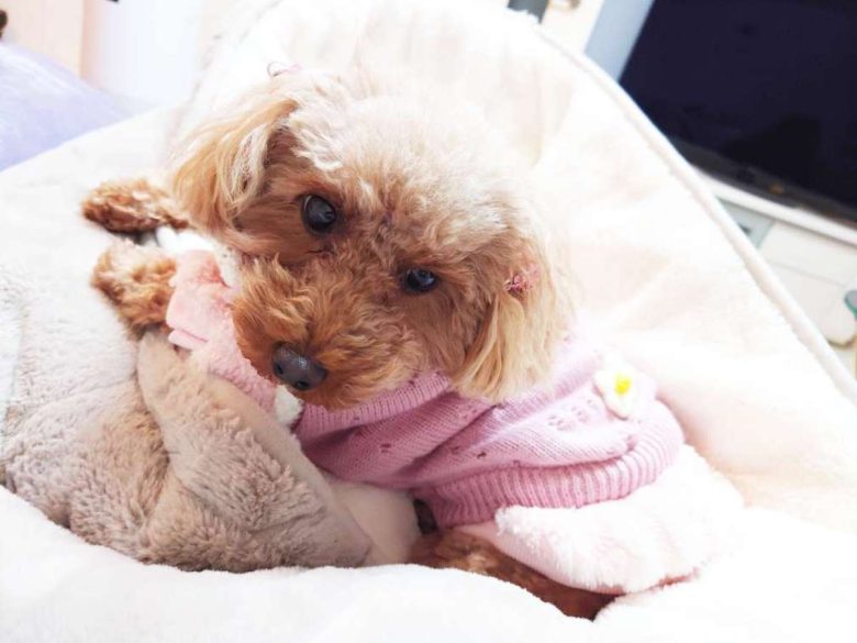 Compress 20240115 220553 3580