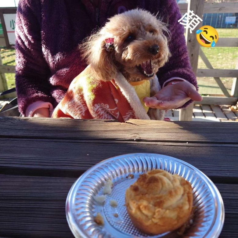 Compress 20231221 012002 2203