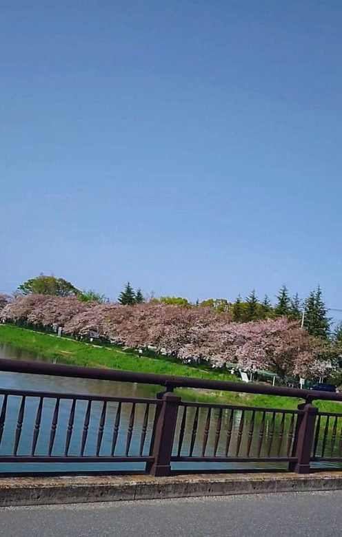 Compress 20240501 033052 2447 1