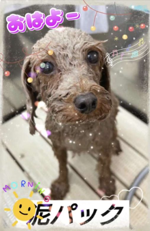 Compress 20240308 223211 1302