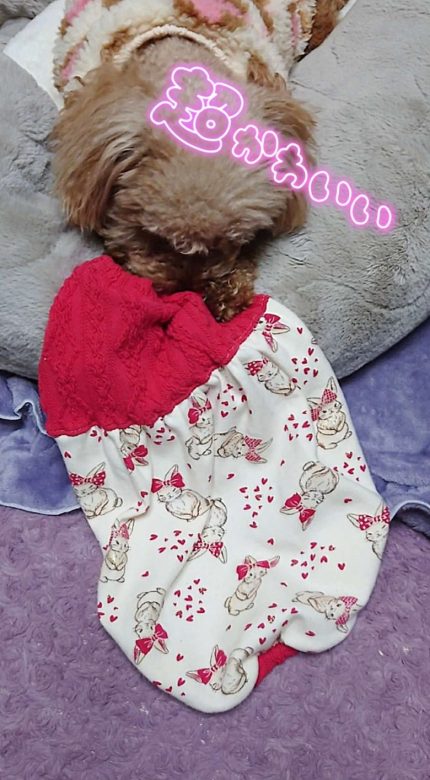 Compress 20240213 042327 7312