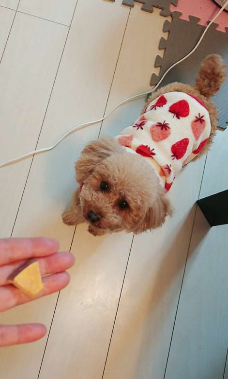 Compress 20240420 161427 7032 2